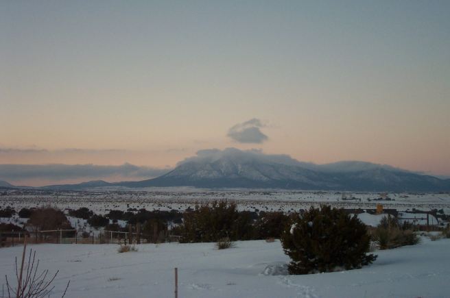 A Snow Day, and Chai Scones - A Wintery Scene