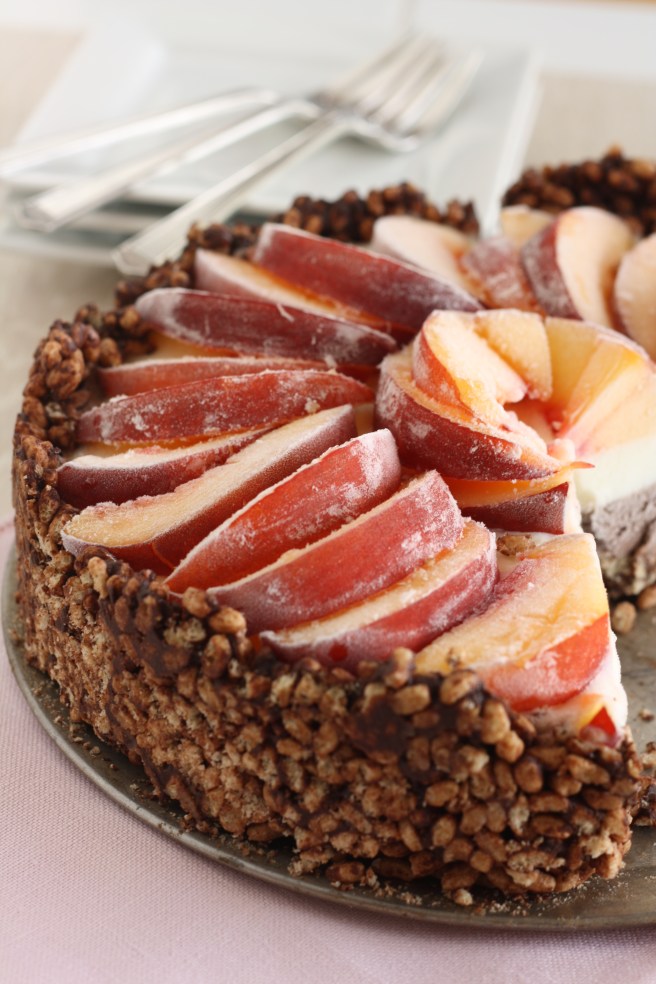 Coconut Milk Ice Cream Cake, copyright 2012, gfcelebration.com All rights reserved Coconut Milk Ice Cream Cake with Nectarines