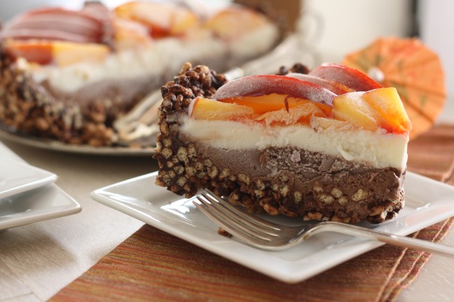 Coconut Milk Ice Cream Cake, copyright 2012, gfcelebration.com, All rights reserved Coconut Milk Ice Cream Cake