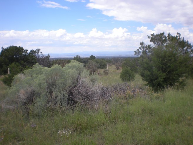 Madrid, NM: A Ghost Town Reborn