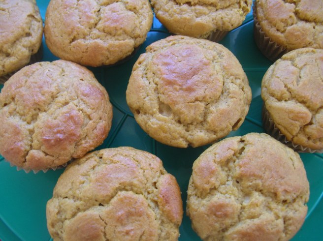 Halloween Cupcakes: Pumpkin Owls and Hedgehogs