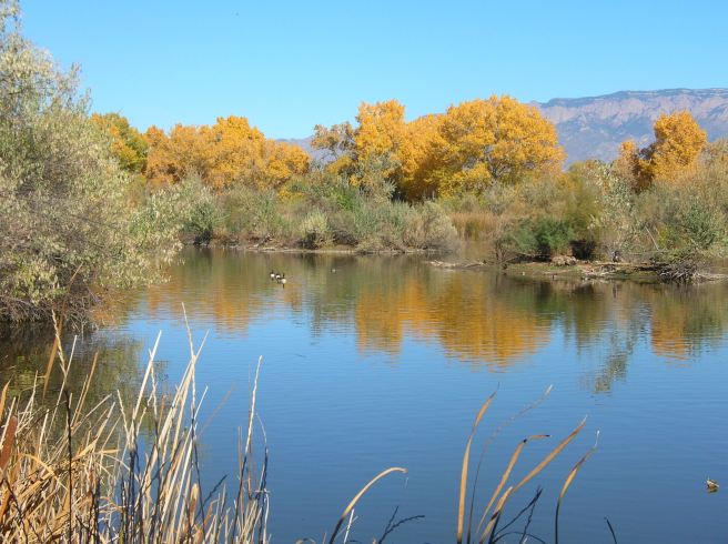 Autumn Pumpkin Stew with Caramelized Onions - Nature Sanctuary Along the Rio Grande River, Albuquerque, NM