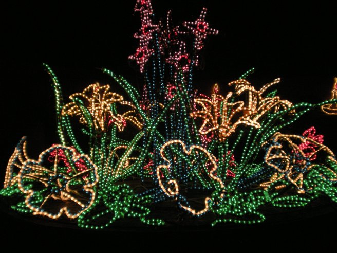 Happy New Year - Garden of Light