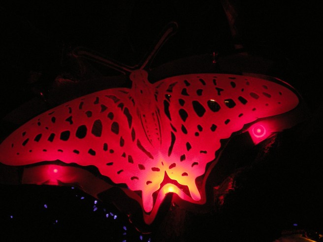 Happy New Year - The magic of butterflies