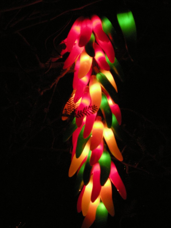 Happy New Year - Chili Ristra