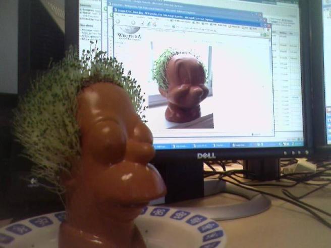 Chia-homer Coconut Milk with Chia Seeds