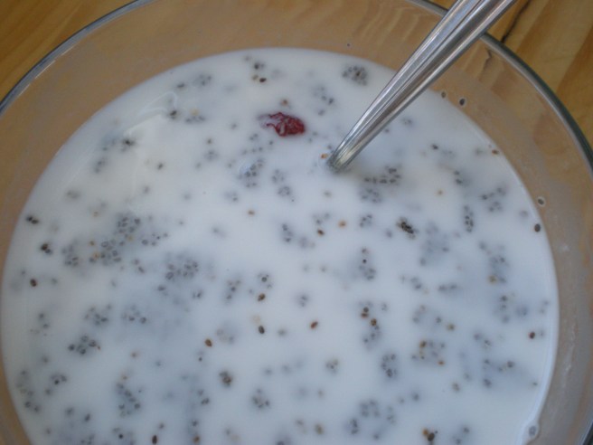 Coconut Milk with Chia Seeds, copyright 2011, gfcelebration.com, All rights reserved Coconut Milk with Chia Seeds