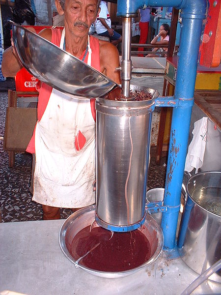 450px-Despolpando_açai-Processing-Acai-Berries-into-Juice-Pulp Tropical Acai Bowl - Processing of Acai Berries into Juice