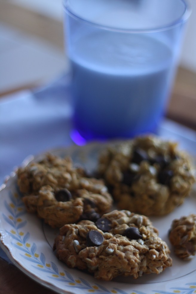 Oatmeal Chocolate Chip Cookies
