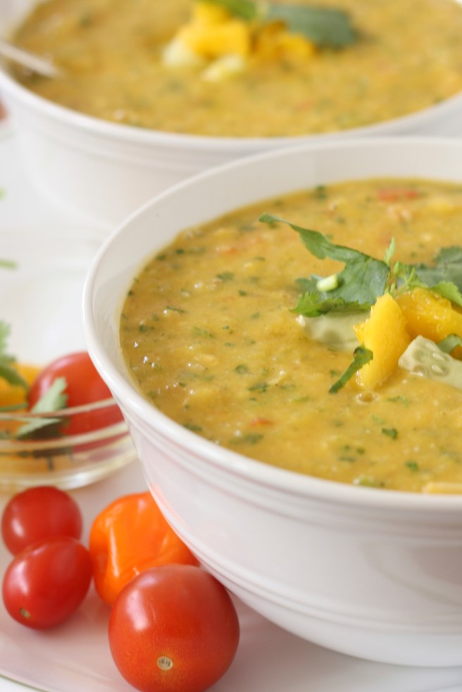 Tropical Fruit Gazpacho, copyright 2013, gfcelebration.com, All rights reserved Tropical Fruit Gazpacho - A refreshing Summer soup